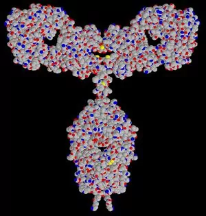 Mass detection and mAb QC: How a cost-effective and robust peptide mapping method confirms CDR peptides – and can be validated