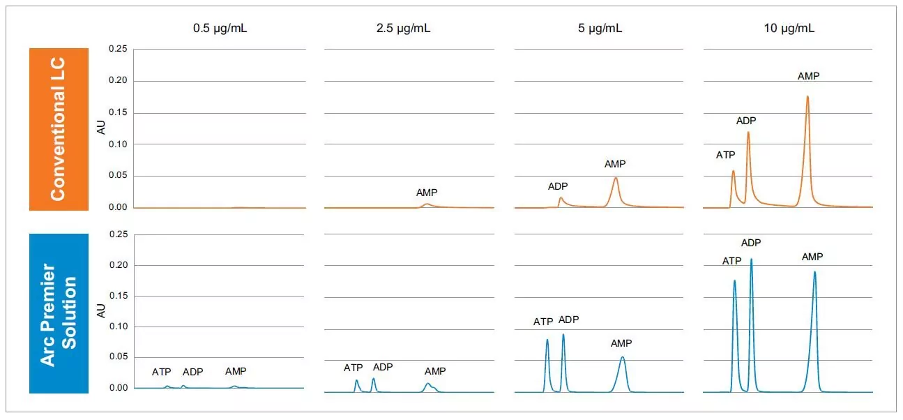 analyte