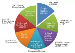 Characterization assays needed for biosimilar development.