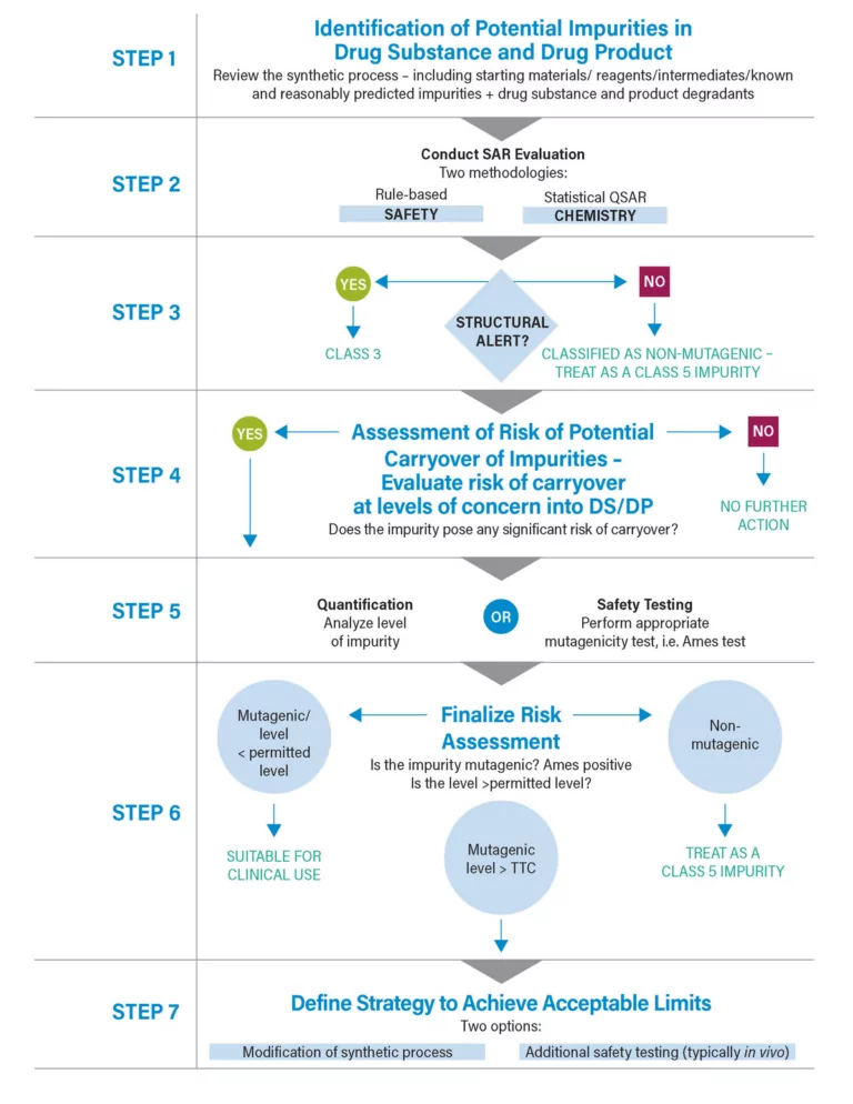 Mutagenic Impurity Risk Assessment Throughout the Development and Manufacturing Process