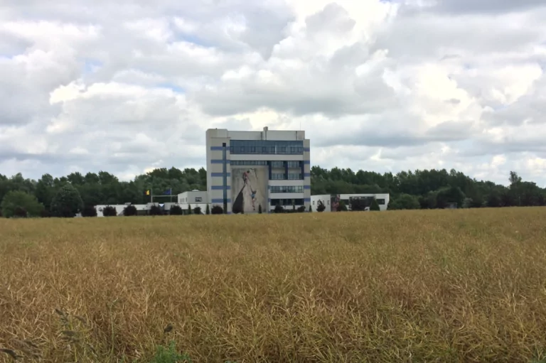 Una CRO lidera el camino de la bioterapia en su propio "campo de sueños