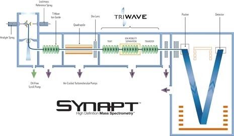 SYNAPT/TRIWAVE-Arbeitsablauf