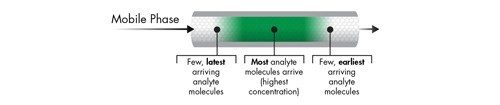 Abbildung 5: Konzentrationsprofil von grünen Analytmolekülen innerhalb der Analytbande