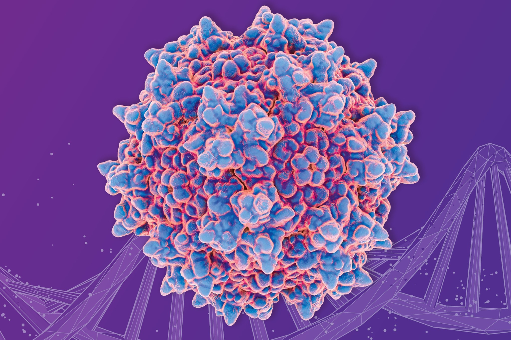 Characterize LNPs to ensure product safety and efficacy. 