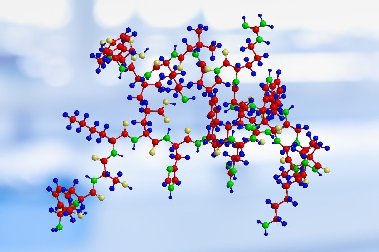 Molecular structure of a peptide, sequence of amino acids