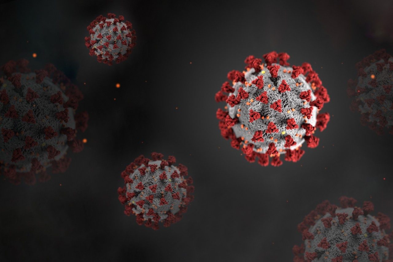 COVID-19 or Coronavirus