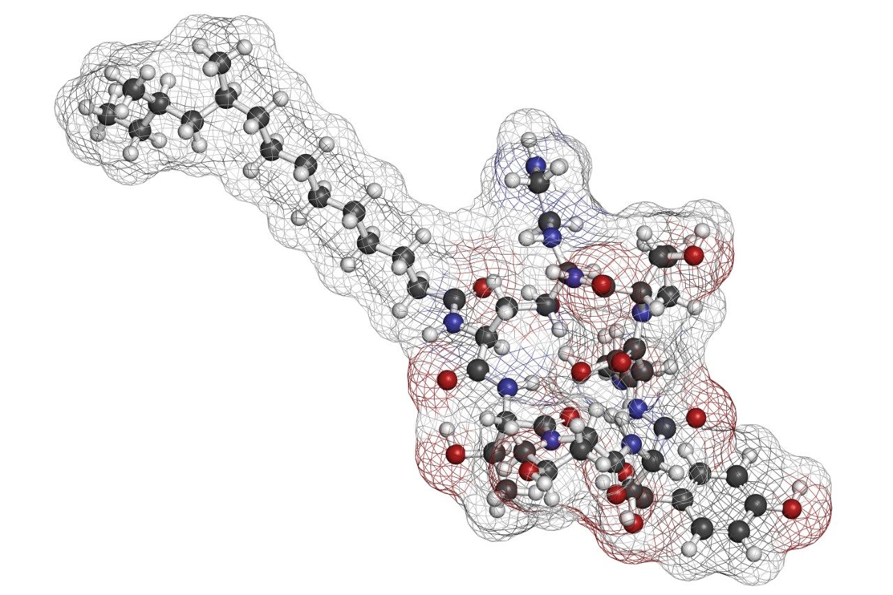 Caspofungin antifungal drug molecule