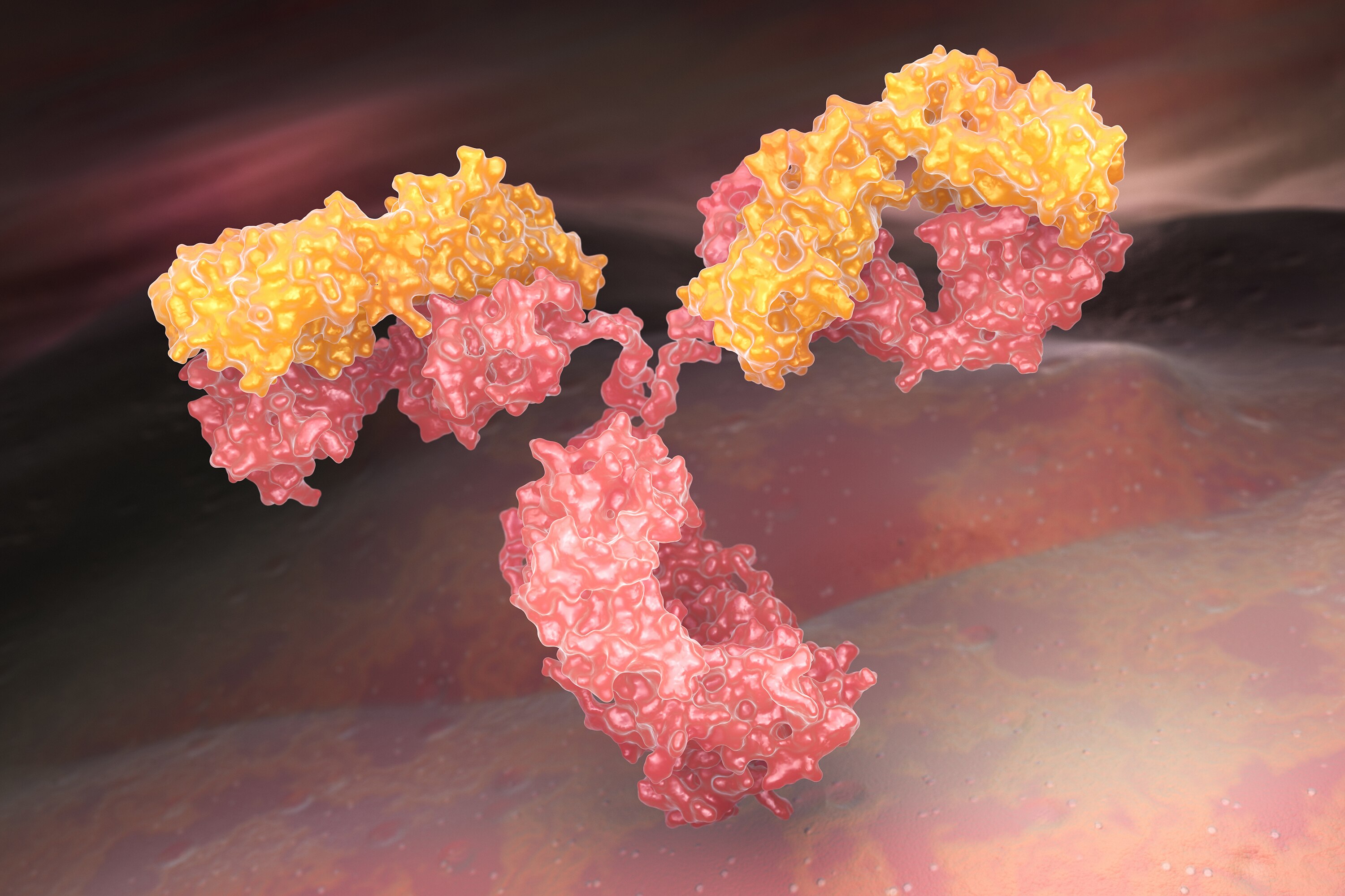 Two Dimensional Liquid Chromatography For Quantification And Ms Analysis Of Monoclonal