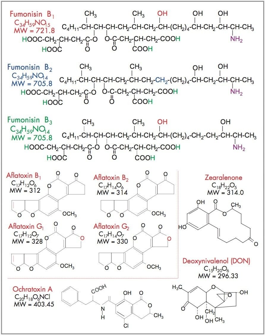 Mycotoxin structures.