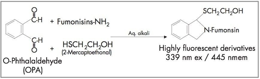 Post-column derivatization chemistry for any primary amine.