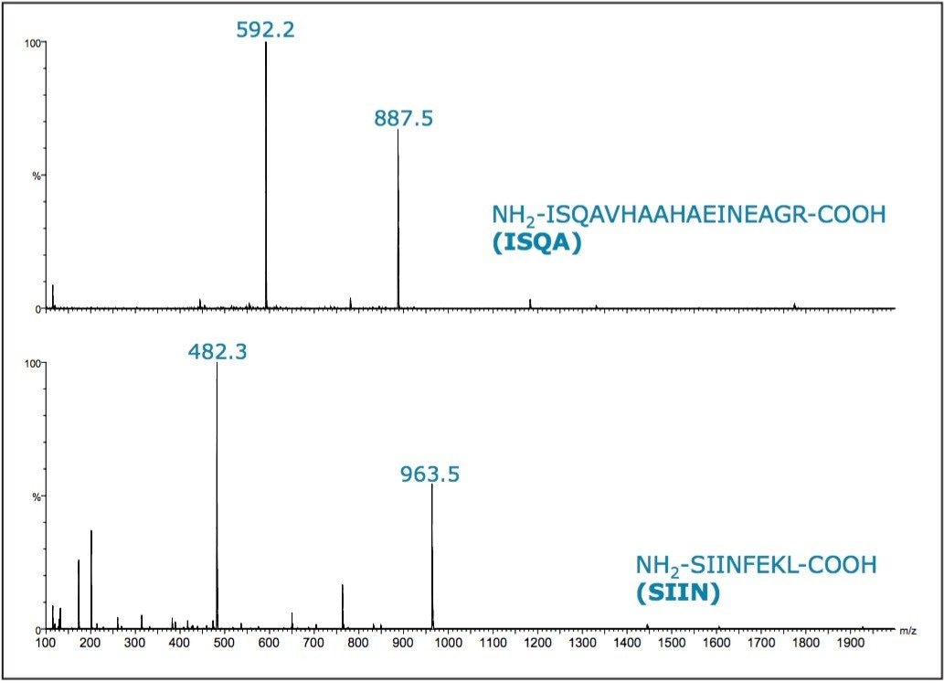 Mass spectra for ISQA and SIIN resulting from the pilot runs.