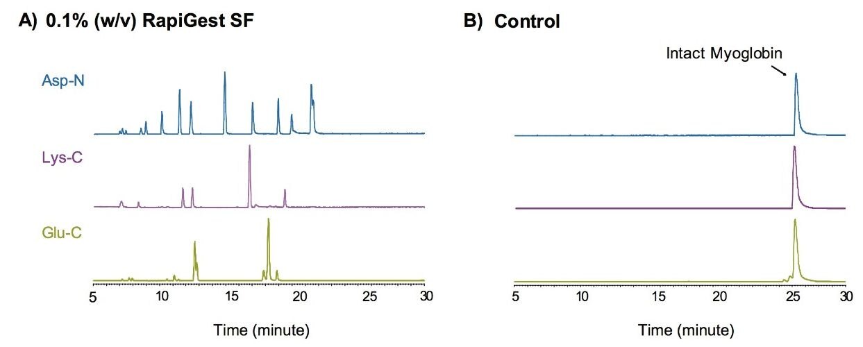 Horse myoglobin (50 pmol/μL) digestion with Asp-N, Lys-C, and Glu-C