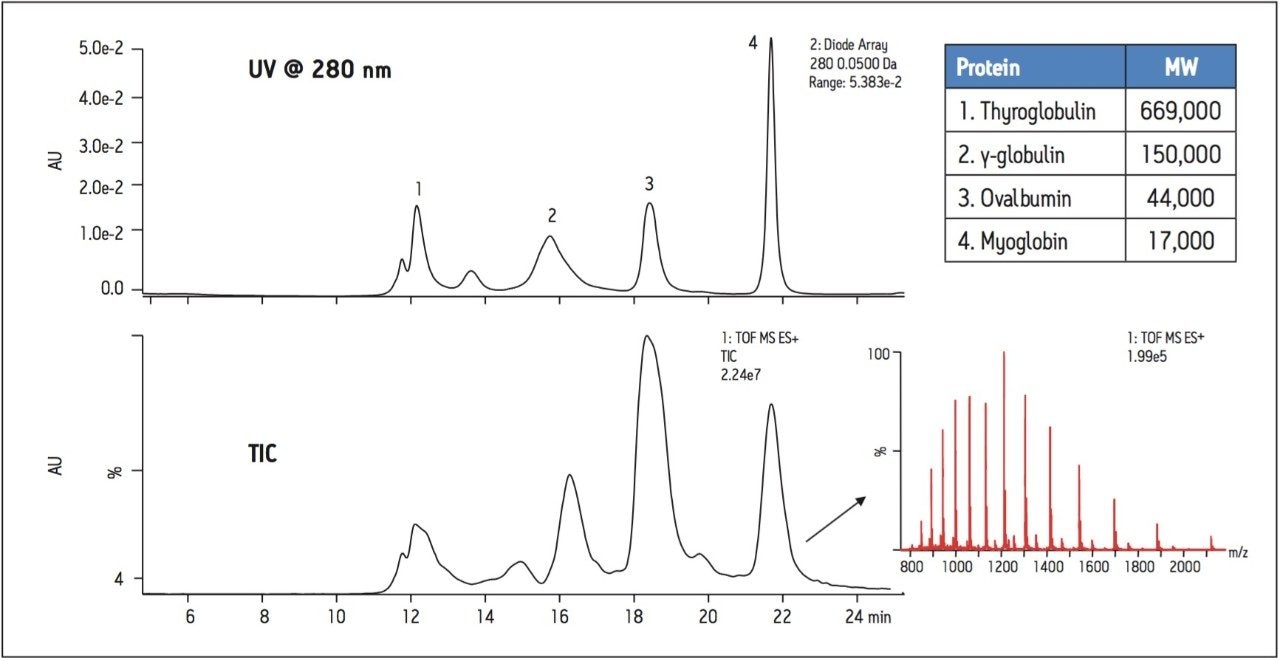 SEC-UV-MS analysis of a protein standard