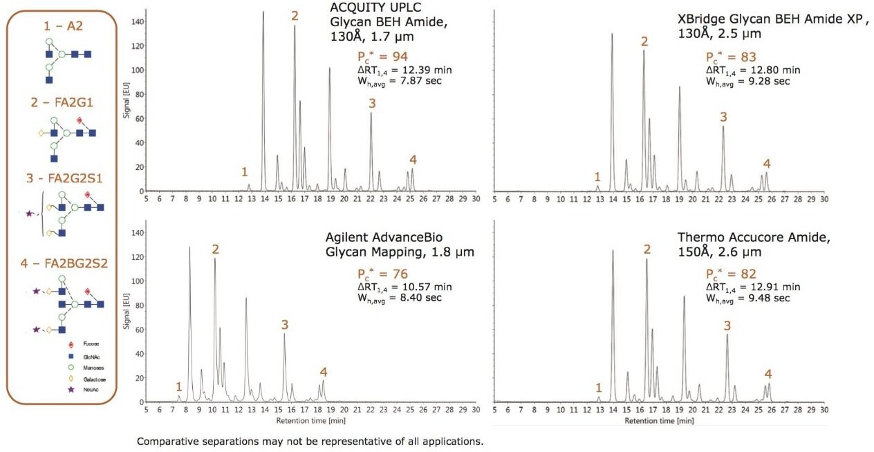 Chromatographic benchmarking of HILIC columns containing amide bonded stationary phases designed for glycan separations. 