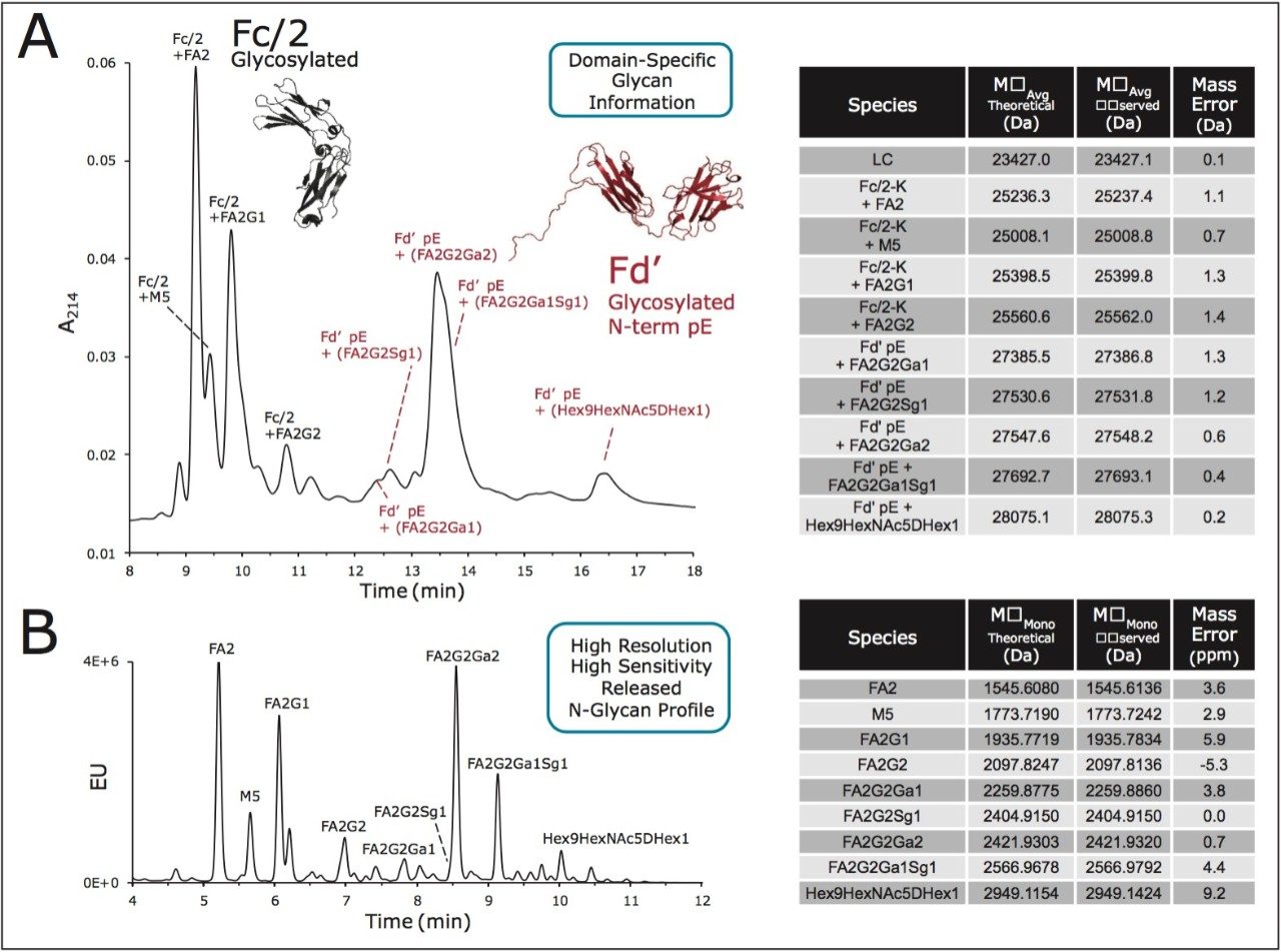  HILIC Profiling of cetuximab glycosylation