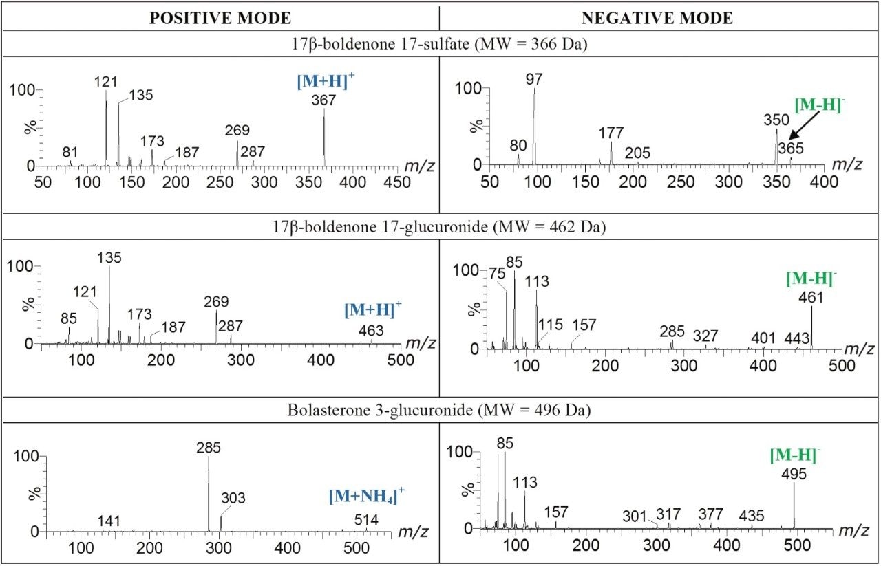 Product ion mass spectra of representative sulfate and glucuronide metabolites