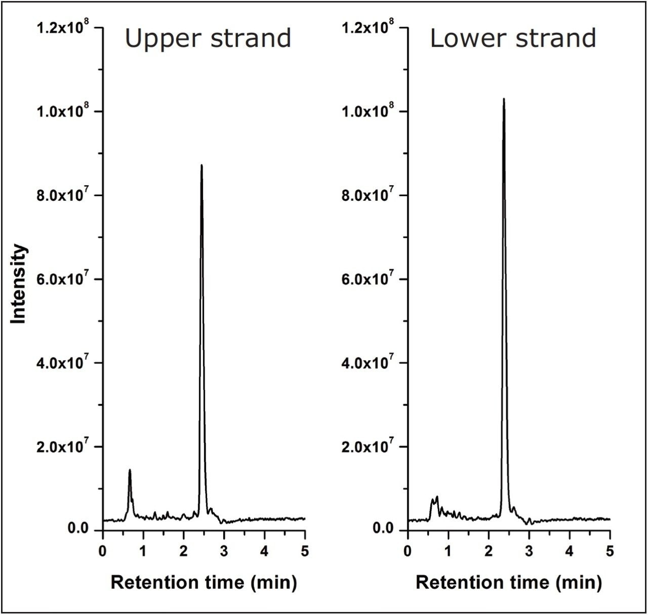  siRNA chromatogram