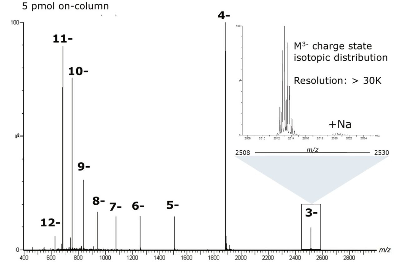 Combined raw ESI spectrum for the 25 nt polyT oligonucleotide from  the MassPREP OST Standard.