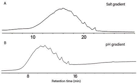 Charge-variant profile of ado-trastuzumab emtansine obtained with ion-exchange chromatography. (A) UV chromatograms obtained with a salt gradient method of 20 mM MES (pH 6.6) with a linear increase of sodium chloride concentration from 30–110 mM in 30 minutes at 0.80 mL/min on a BioResolve SCX mAb, 4.6 x 100 mm Column. (B) UV chromatograms obtained with pH gradient methods on a BioResolve SCX mAb 4.6 x 50 mm Column using BioResolve CX pH Concentrates, mobile phases, and a linear increase of mobile phase B percentage from 0–100% in 30 minutes at 1.00 mL/min. UV detection was at 280 nm. 