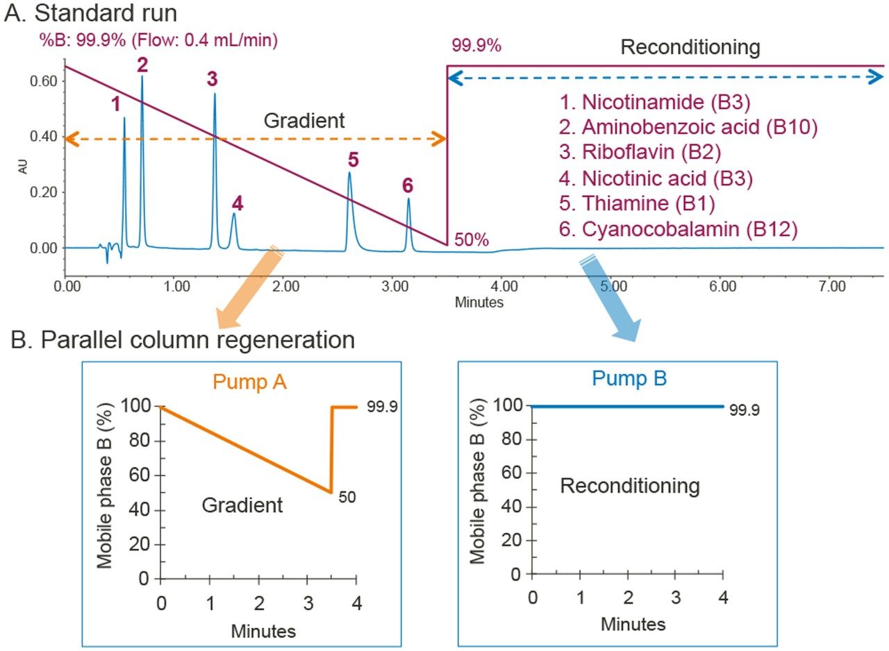 Figure 1. Illustration of parallel column regeneration strategy for the analysis of water soluble vitamins. A) Standard run (single pump): the HILIC separation of water soluble vitamins consists of two segments, gradient and reconditioning (LC method was modified based on reference 1; B) Parallel column regeneration (two pumps): one pump (pump A) delivers gradient to one column, while the other pump (pump B) reconditions the other column.