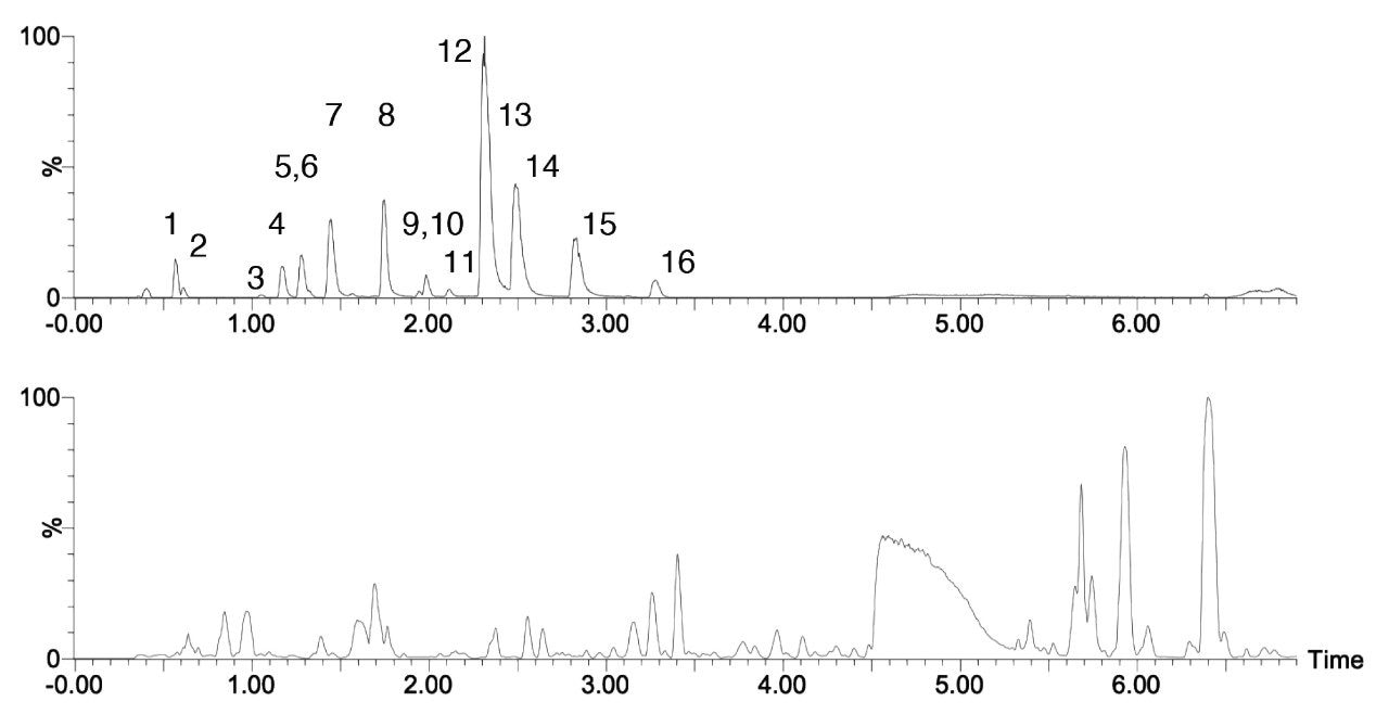 Separation of urinary metabolites on an ACQUITY Premier CSH Phenyl-Hexyl Column.