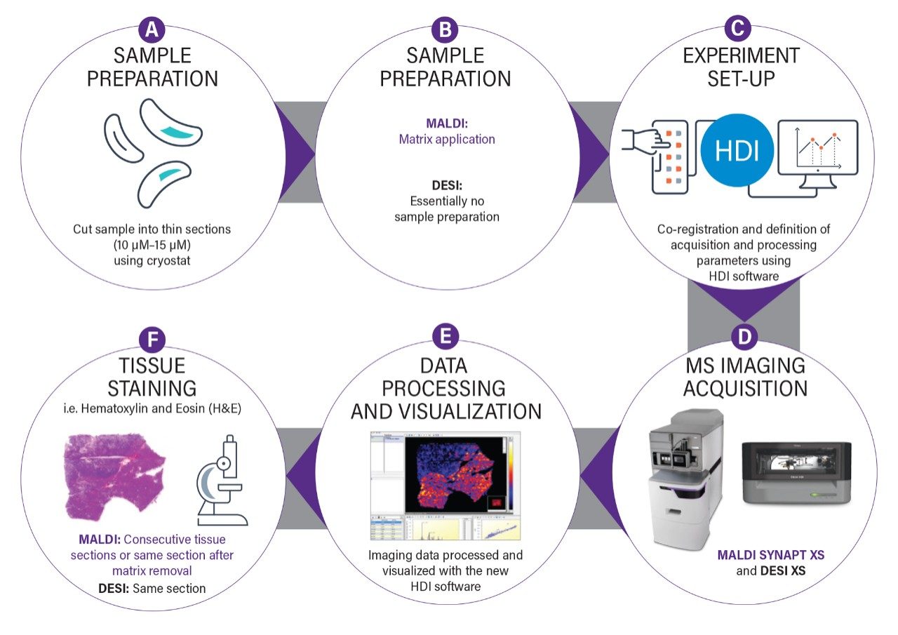 Full Spectrum Molecular Imaging workflow