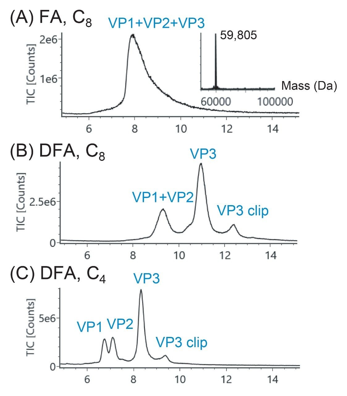  Method development of AAV8 capsid protein analysis