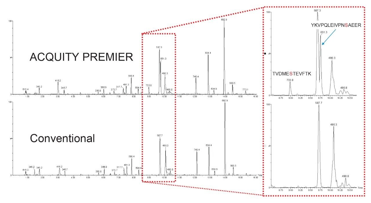 Chromatograms from injection of 1pmol Alpha Casein.