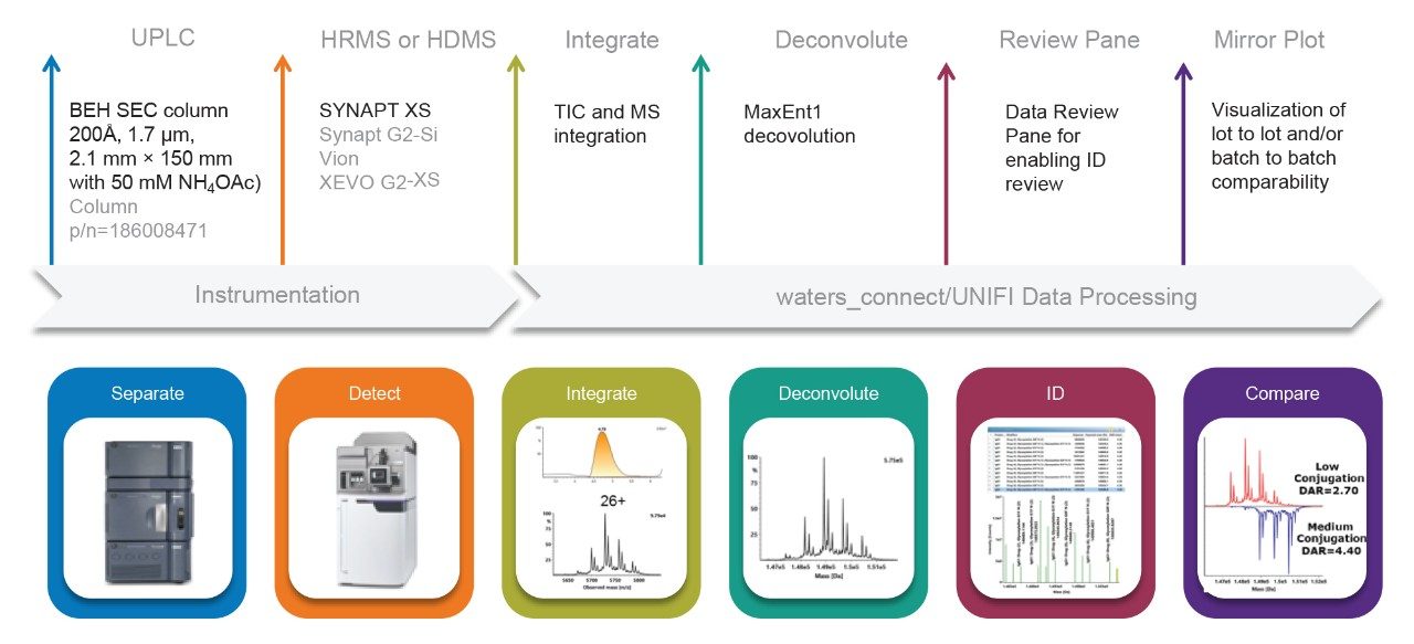 The analytical scale native SEC LC-MS analysis workflow