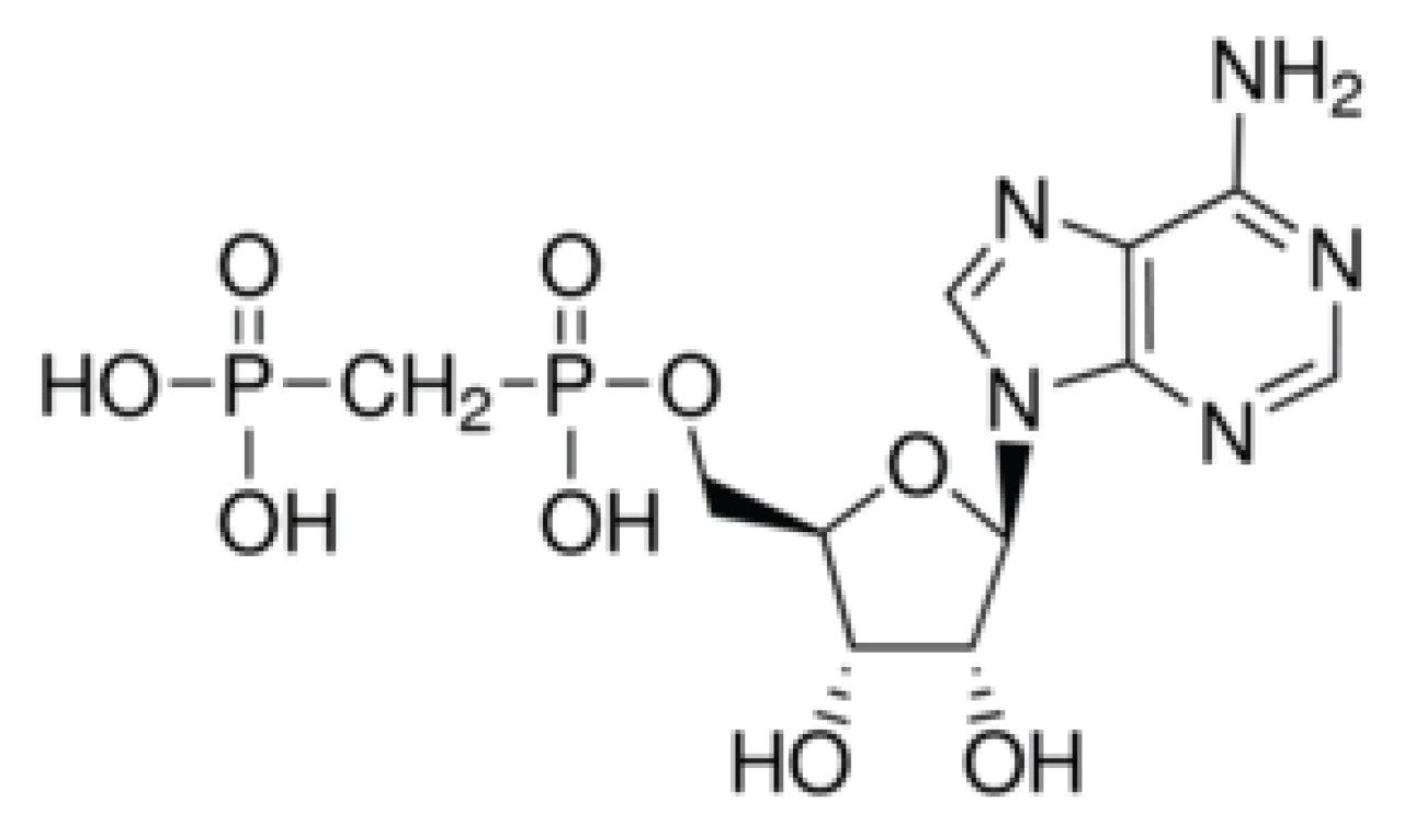 Adenosine 5’-(α,β-methylene)diphosphate (AMPcP).