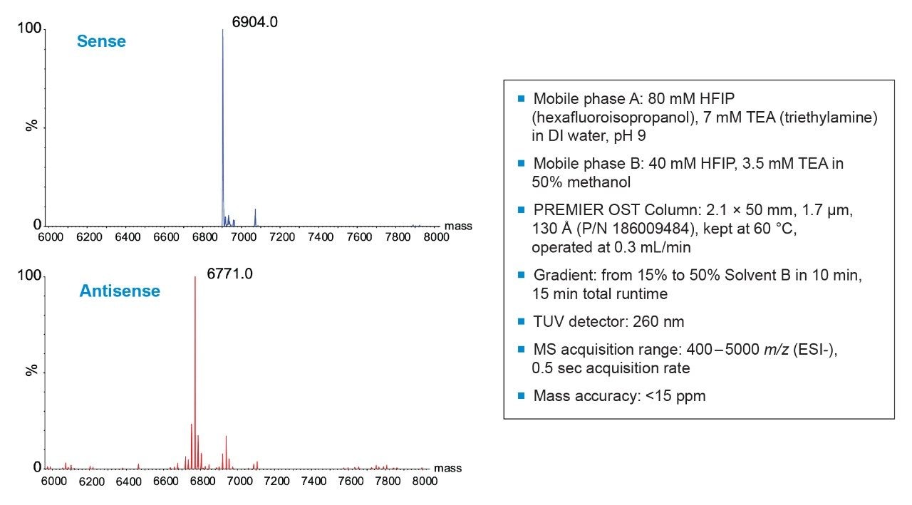 Intact mass of sense and antisense strand. 