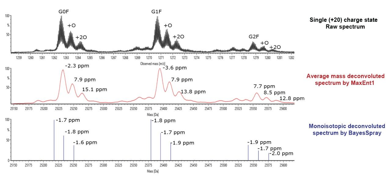 Spectra comparison for the oxidized Trastuzumab scFc subunit fragment before and after charge state deconvolution