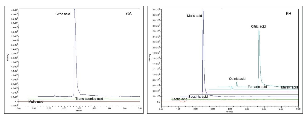 Organic acids detected in sports drink (6A) and sparkling water (6B).