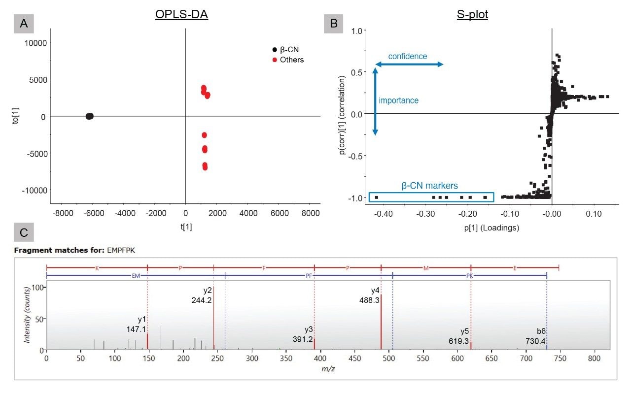 A. OPLS-DA score plot; B. S-plot of β-CN versus the other four proteins; and C. Identification example of the peptide EMPFPK.