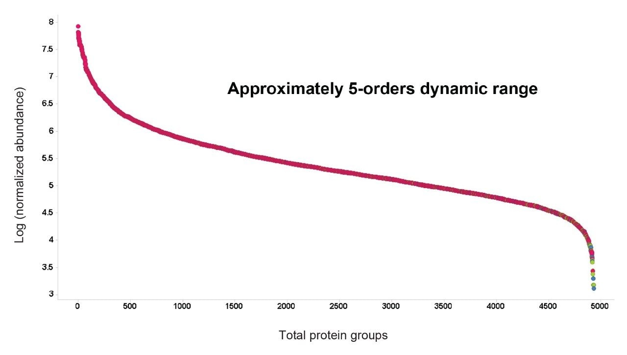  Dynamic range of intensities for all identified K562 proteins from 3 replicate injections