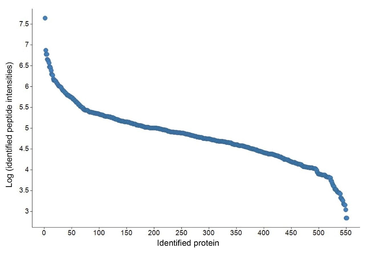 Dynamic range of intensities of matched peptides for each protein identification