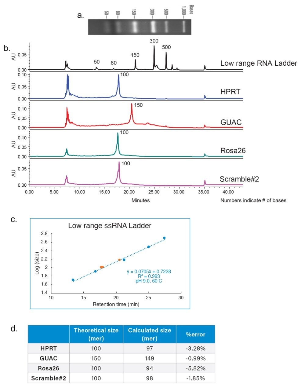 Agarose gel separation of Low Range ssRNA Ladder