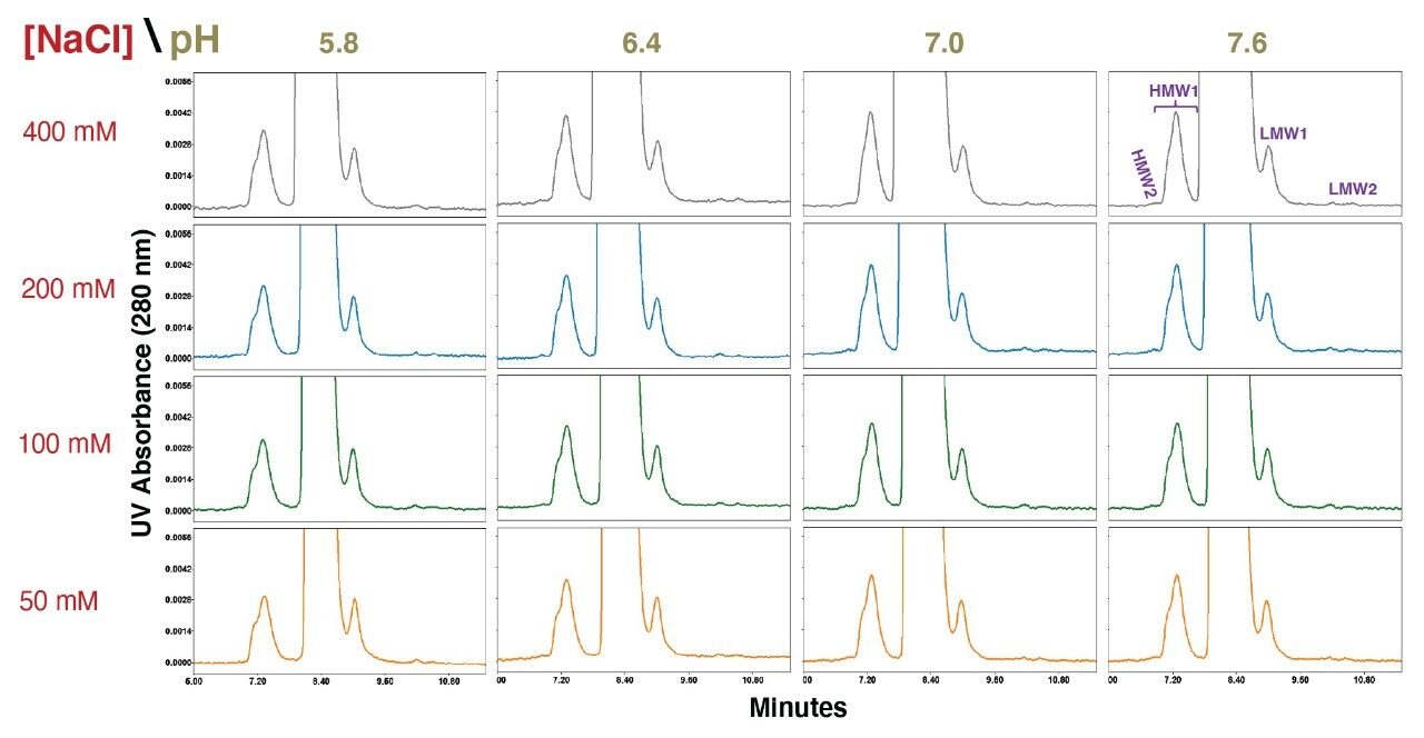 Infliximab drug product SEC separations using an XBridge™ Premier Protein SEC column (250 Å, 2.5µm, 7.8 X 300 mm) are shown for pH values ranging from 5.8 to 7.6 (20 mM sodium phosphate) and sodium chloride (NaCl) concentrations ranging from 50 mM to 400 mM.