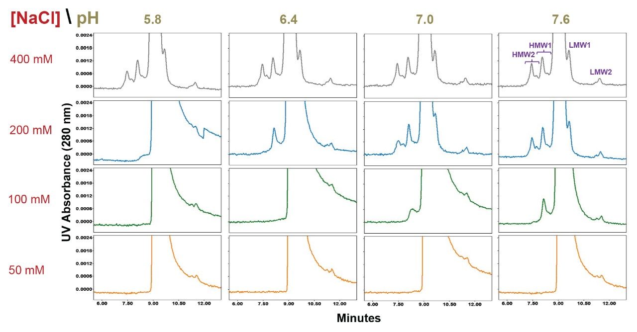  Rituximab drug product SEC separations using a BioResolve SEC mAb column (200Å, 2.5µm, 7.8 X 300 mm) are shown for pH values ranging from 5.8 to 7.6 (20 mM sodium phosphate) and sodium chloride (NaCl) concentrations ranging from 50 mM to 400 mM.