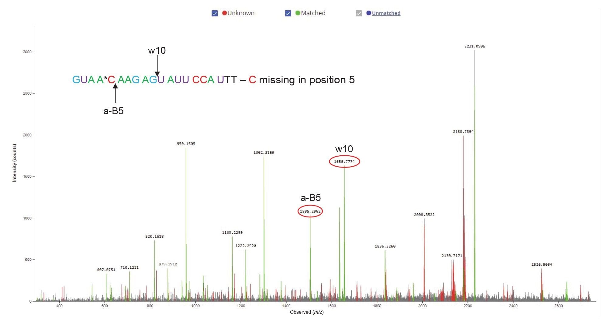 MS/MS spectrum recorded for the most abundant isomer of the 21-mer oligonucleotide impurity labeled as peak 10 and eluting just before the FLP. The [M-3H]-3 precursor of this oligo (m/z = 2231.0) was fragmented using an optimized fixed collision energy (set at 59 V) in the collision cell of a Xevo G2-XS QTof instrument. The a-B5 fragment ion detected at m/z=1506.29 confirms the presence of one 2’-OMe 5-Me cytidine close to the 5’-end of this oligo, while the w10 fragment ion present at m/z= 1656.77 indicates that the other two 2’-OMe 5-Me cytidines are located at the other end of the molecule