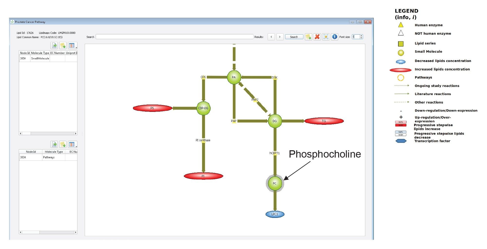 Portion of the metabolic pathway depicted in “Prostate Cancer” disease map in Lipostar