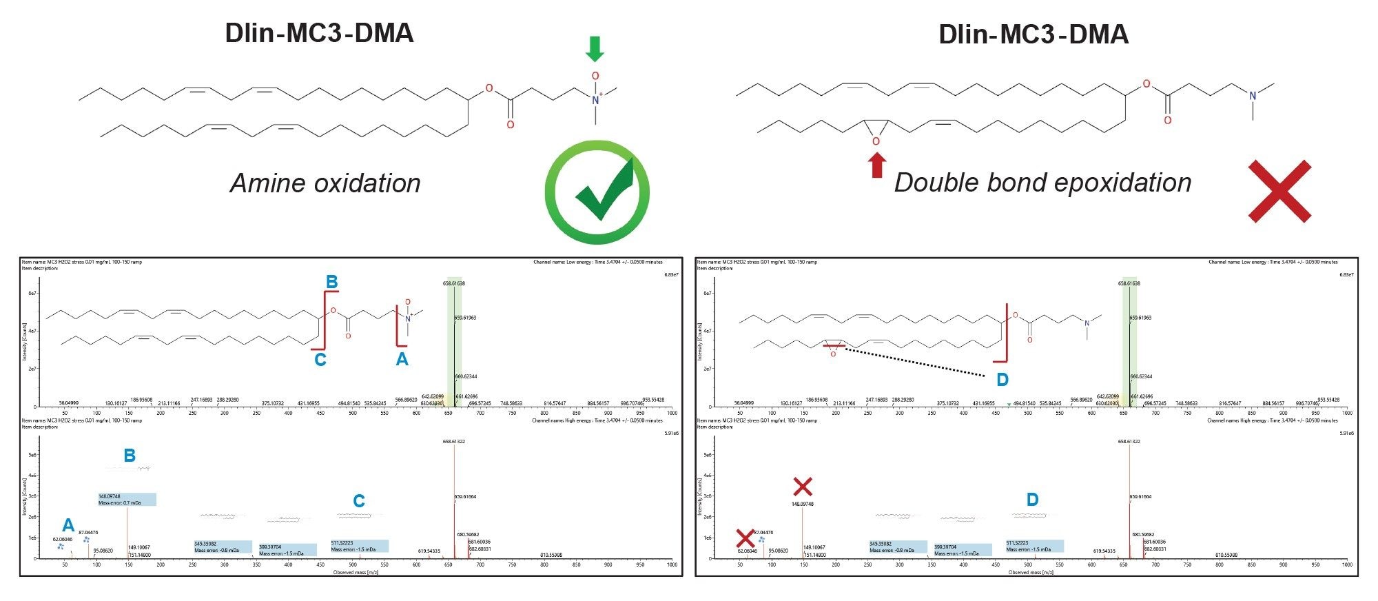 Dlin-MC3-DMA分子上的氧化定位。