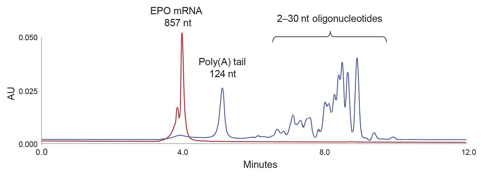 857 nt EPO mRNA (red chromatogram) was digested with RNase T1