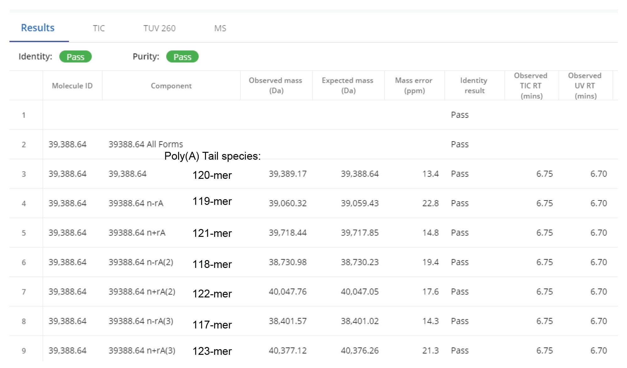 Section of the INTACT Mass App report