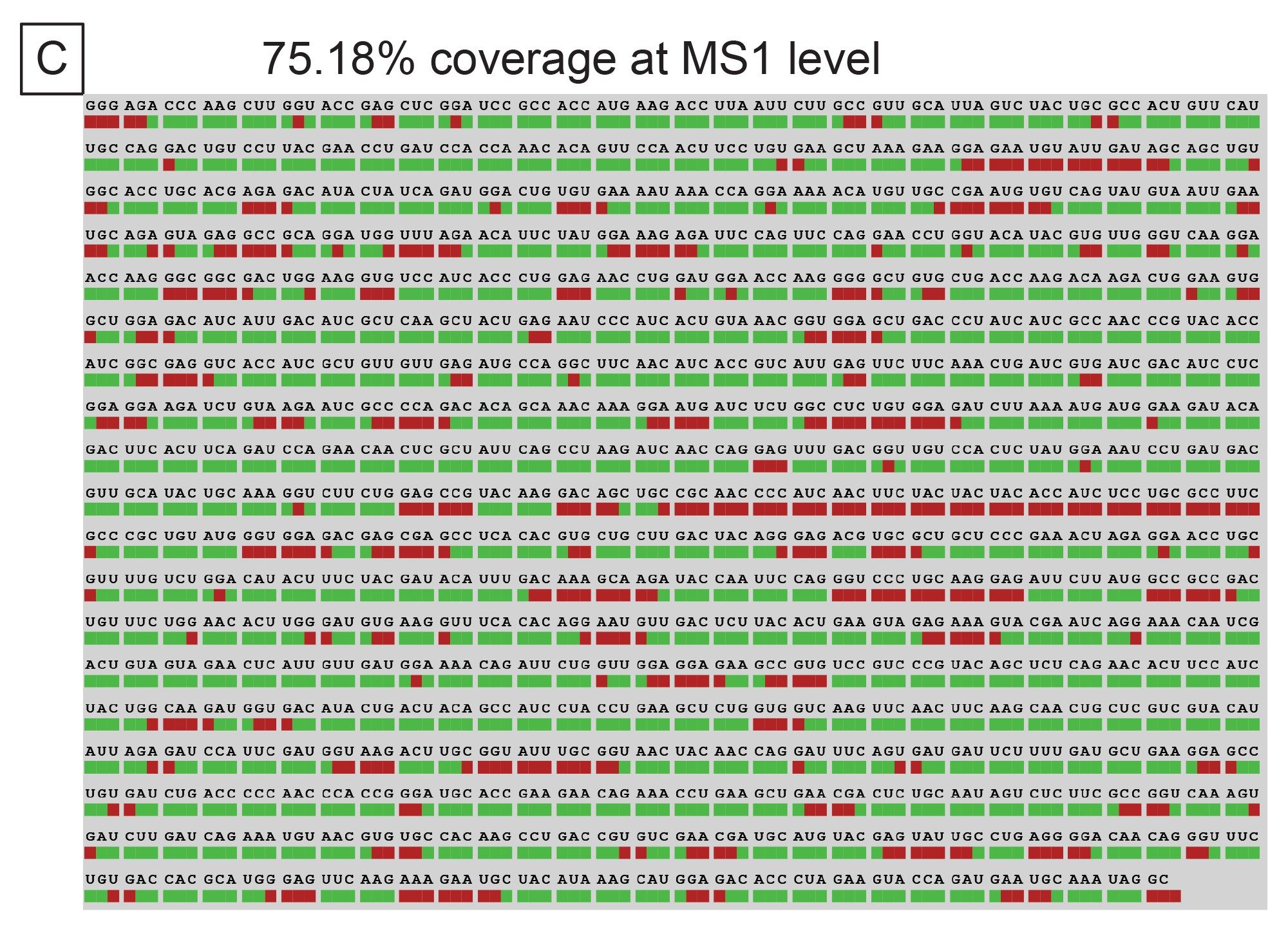 The MS1 level digestion fragment maps indicated 75.18% overall sequence coverage