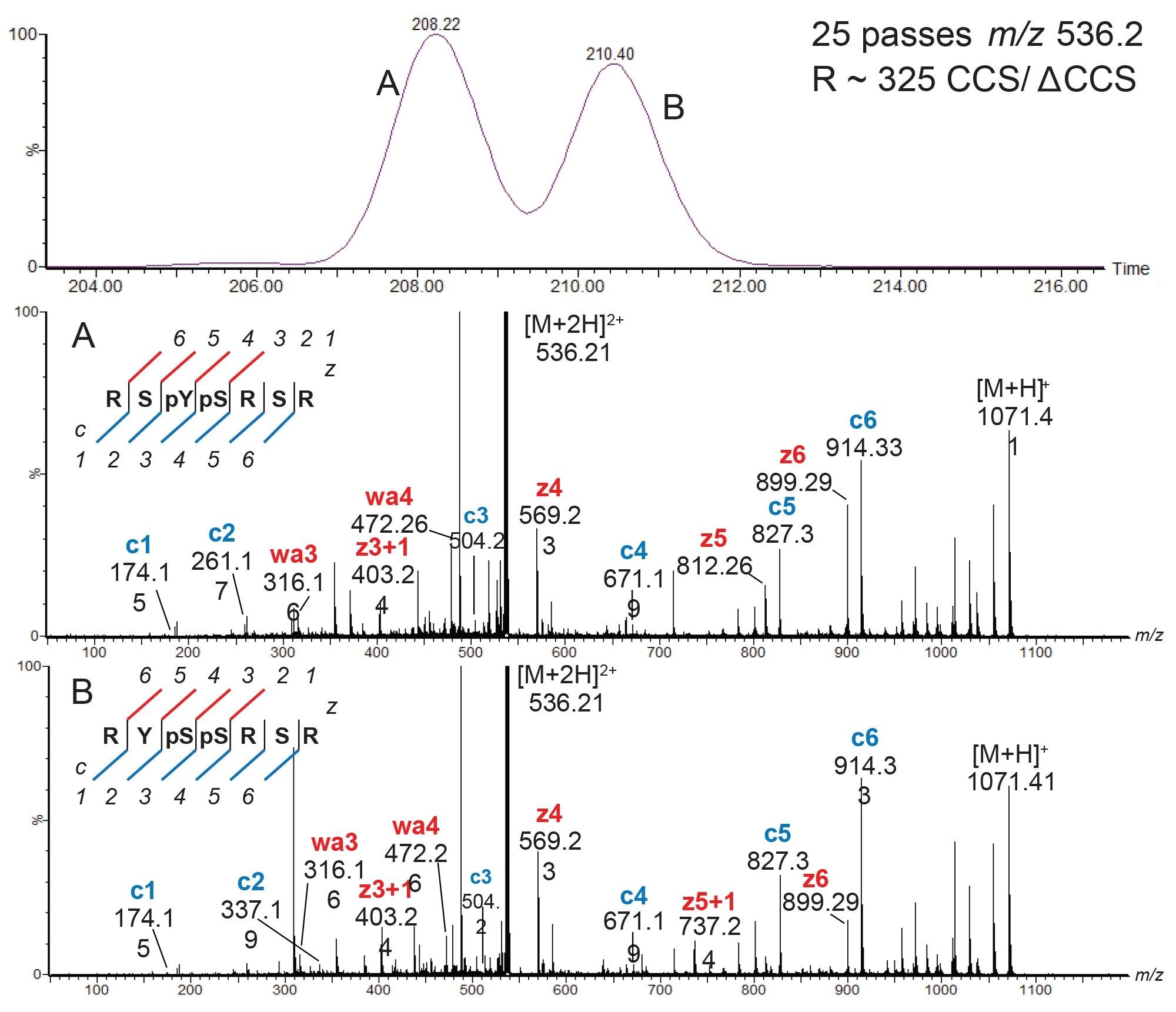 Separation of the 2+ species of the phosphopeptide mixture by 25 passes of cyclic ion mobility