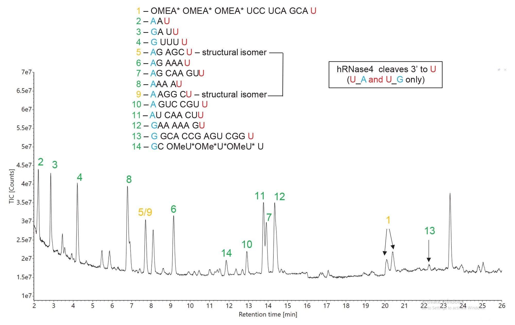 TIC chromatogram recorded for hRNase 4 digestion of HPRT1 sgRNA