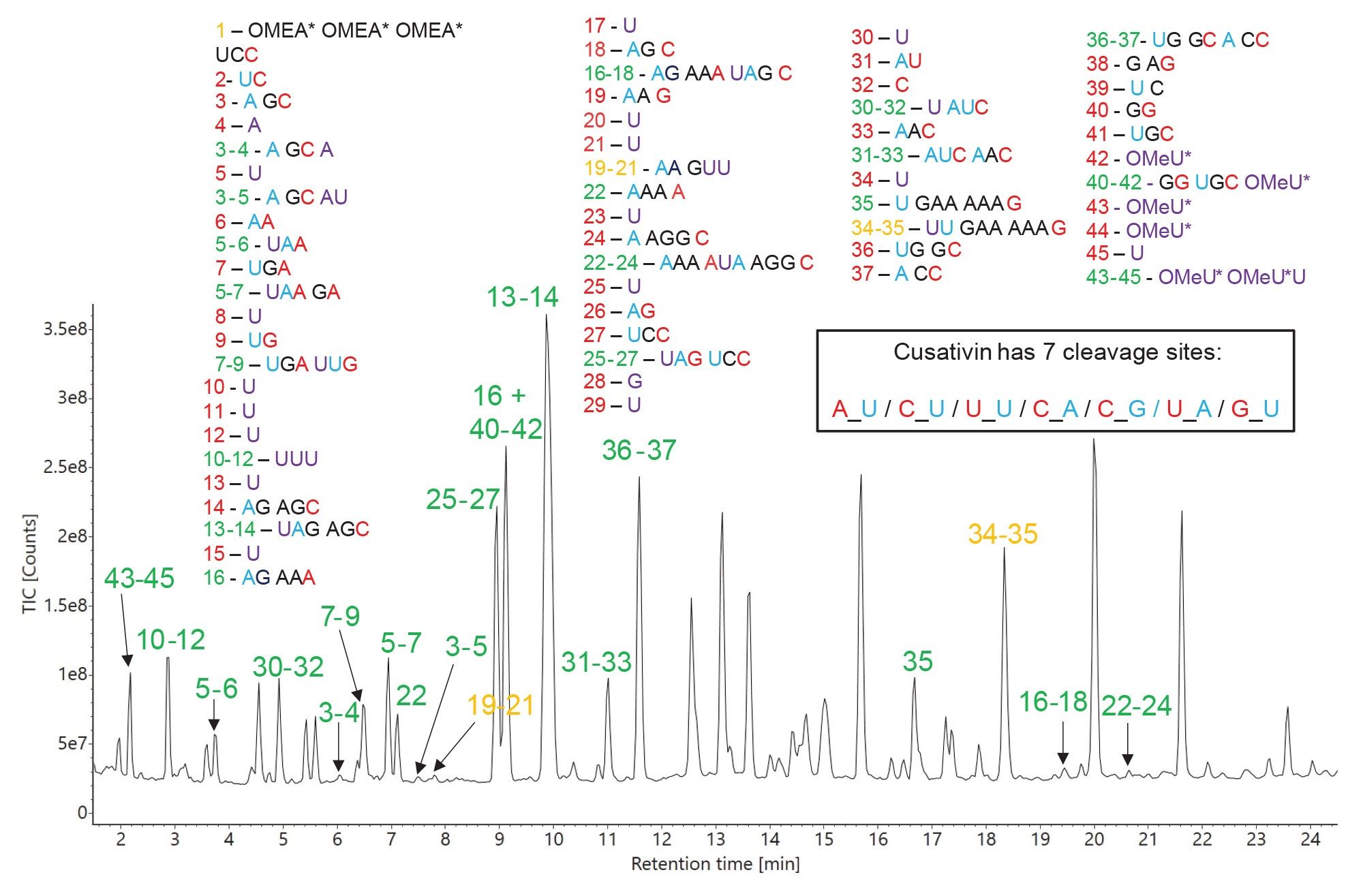 TIC chromatogram recorded for RapiZyme Cusativin digestion of HPRT1 sgRNA