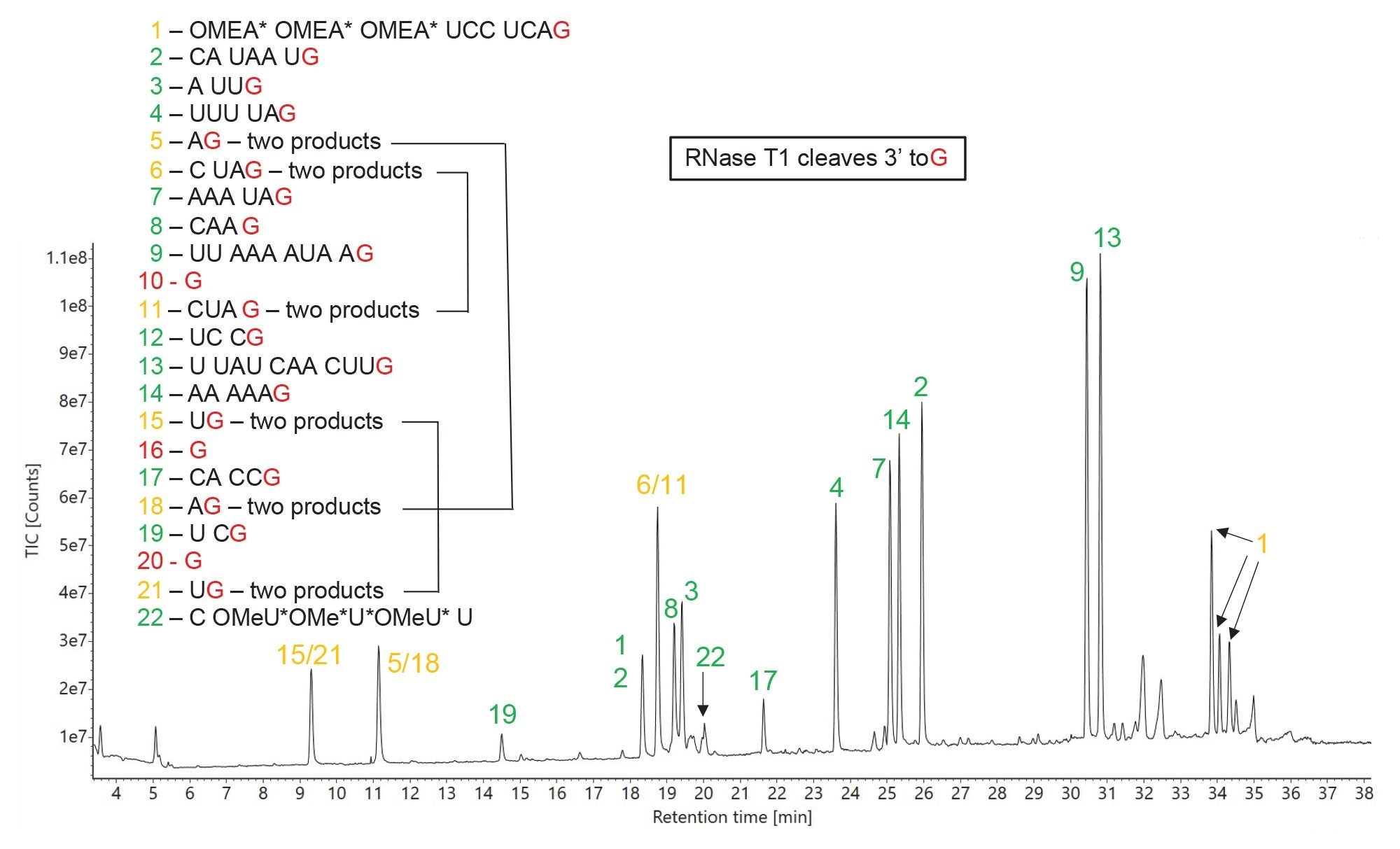 TIC chromatogram recorded for RNase T1 digestion of HPRT1 sgRNA