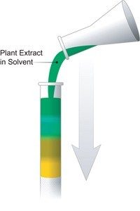 Tswett's Experiment.